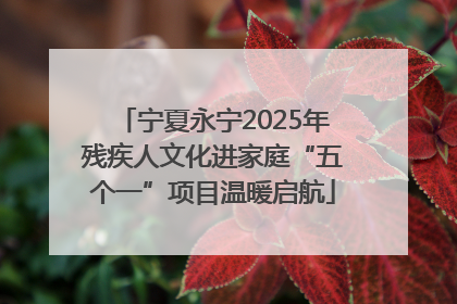 宁夏永宁2025年残疾人文化进家庭“五个一”项目温暖启航