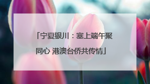宁夏银川：塞上端午聚同心 港澳台侨共传情