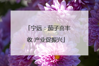 宁远：茄子喜丰收 产业促振兴