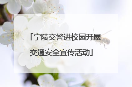 宁陵交警进校园开展交通安全宣传活动