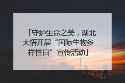 守护生命之美，湖北大悟开展“国际生物多样性日”宣传活动