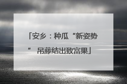 安乡：种瓜“新姿势” 吊藤结出致富果