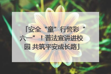 安全“童”行警彩“六一”！普法宣讲进校园 共筑平安成长路