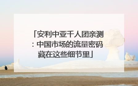安利中亚千人团亲测：中国市场的流量密码 藏在这些细节里