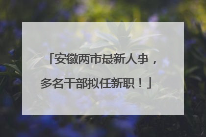 安徽两市最新人事，多名干部拟任新职！