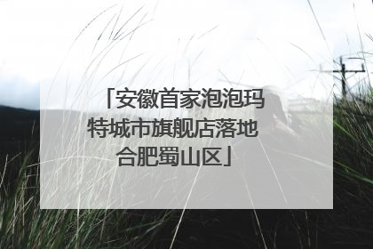 安徽首家泡泡玛特城市旗舰店落地合肥蜀山区