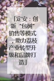 定安：创新“包树”销售等模式，助力荔枝产业转型升级和品牌打造