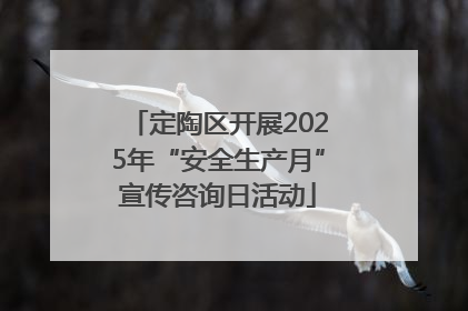 定陶区开展2025年“安全生产月”宣传咨询日活动