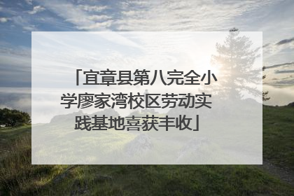 宜章县第八完全小学廖家湾校区劳动实践基地喜获丰收