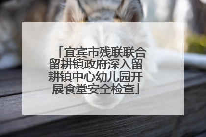 宜宾市残联联合留耕镇政府深入留耕镇中心幼儿园开展食堂安全检查