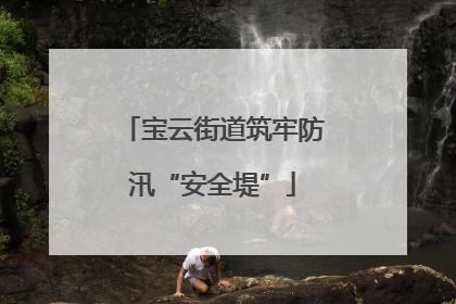 宝云街道筑牢防汛“安全堤”