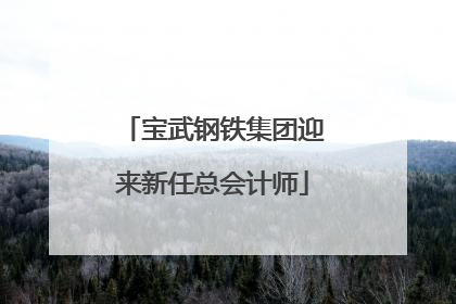 宝武钢铁集团迎来新任总会计师