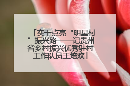 实干点亮“明星村”振兴路——记贵州省乡村振兴优秀驻村工作队员王培欢