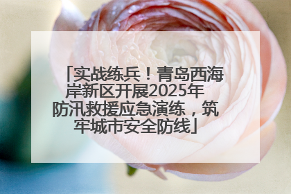 实战练兵！青岛西海岸新区开展2025年防汛救援应急演练，筑牢城市安全防线