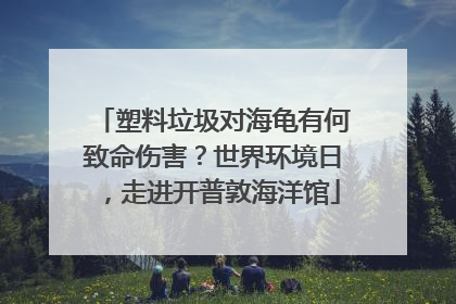 塑料垃圾对海龟有何致命伤害？世界环境日，走进开普敦海洋馆