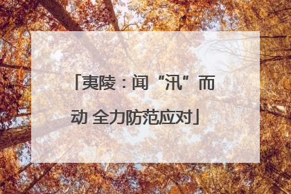 夷陵：闻“汛”而动 全力防范应对