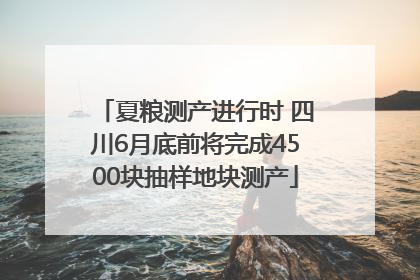 夏粮测产进行时 四川6月底前将完成4500块抽样地块测产