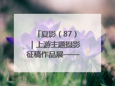 夏影（87）｜上游主题摄影征稿作品展——周社根作品