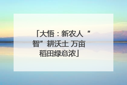 大悟：新农人“智”耕沃土 万亩稻田绿意浓