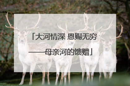 大河情深 恩赐无穷——母亲河的馈赠
