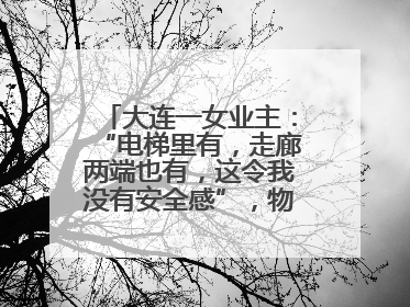 大连一女业主：“电梯里有，走廊两端也有，这令我没有安全感”，物业最新回应……
