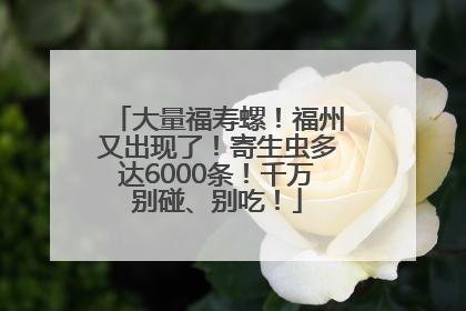 大量福寿螺！福州又出现了！寄生虫多达6000条！千万别碰、别吃！