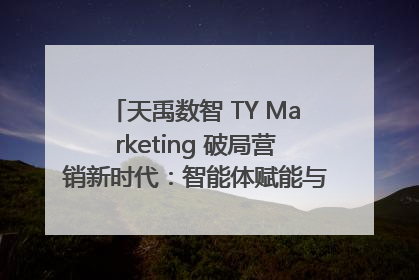 天禹数智 TY Marketing 破局营销新时代：智能体赋能与人才培育双轮驱动