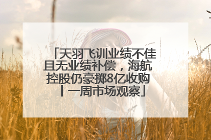 天羽飞训业绩不佳且无业绩补偿，海航控股仍豪掷8亿收购丨一周市场观察