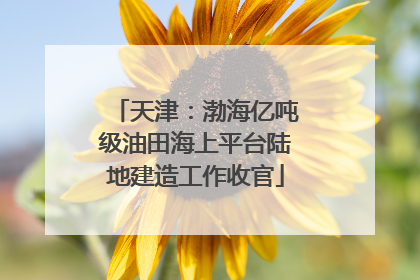 天津：渤海亿吨级油田海上平台陆地建造工作收官