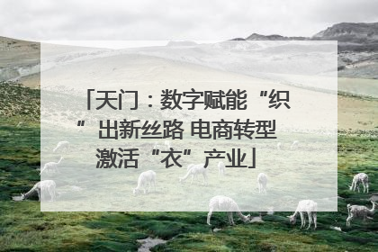 天门：数字赋能“织”出新丝路 电商转型激活“衣”产业