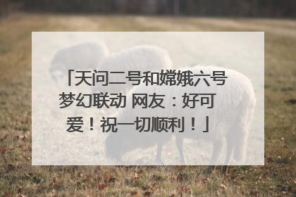 天问二号和嫦娥六号梦幻联动 网友：好可爱！祝一切顺利！