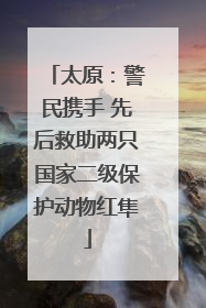 太原：警民携手 先后救助两只国家二级保护动物红隼