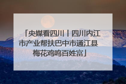 央媒看四川丨四川内江市产业帮扶巴中市通江县 梅花鸡鸣百姓富