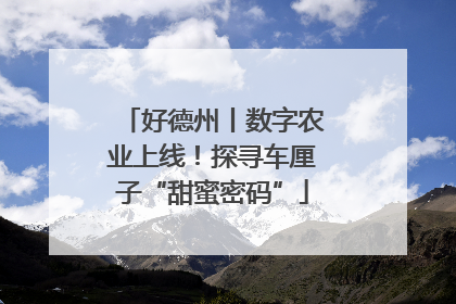 好德州丨数字农业上线！探寻车厘子“甜蜜密码”