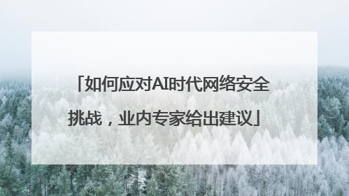如何应对AI时代网络安全挑战，业内专家给出建议