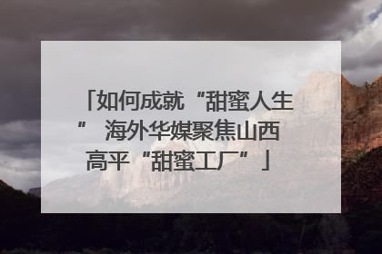 如何成就“甜蜜人生” 海外华媒聚焦山西高平“甜蜜工厂”