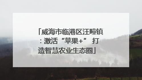 威海市临港区汪疃镇：激活“苹果+” 打造智慧农业生态圈