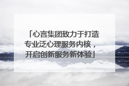 心言集团致力于打造专业泛心理服务内核，开启创新服务新体验