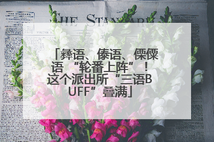 彝语、傣语、傈僳语 “轮番上阵”！这个派出所“三语BUFF”叠满