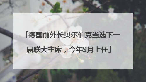 德国前外长贝尔伯克当选下一届联大主席，今年9月上任