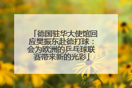 德国驻华大使馆回应樊振东赴德打球：会为欧洲的乒乓球联赛带来新的光彩