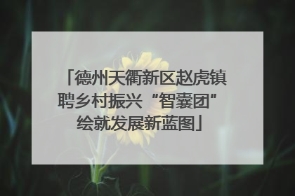 德州天衢新区赵虎镇聘乡村振兴“智囊团” 绘就发展新蓝图