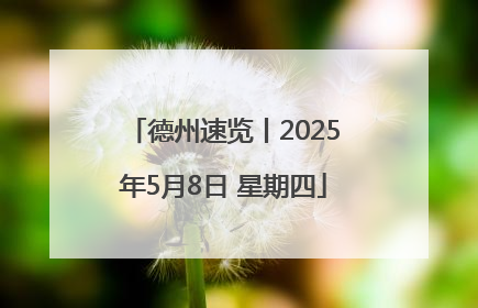德州速览丨2025年5月8日 星期四