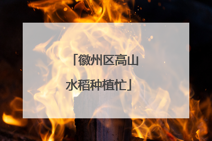 徽州区高山水稻种植忙