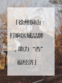 徐州铜山：打响区域品牌，助力“杏”福经济