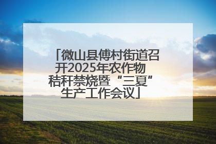 微山县傅村街道召开2025年农作物秸秆禁烧暨“三夏”生产工作会议
