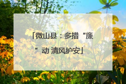 微山县：多措“廉”动 清风护安