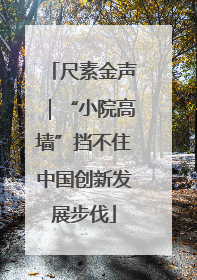 尺素金声｜“小院高墙”挡不住中国创新发展步伐