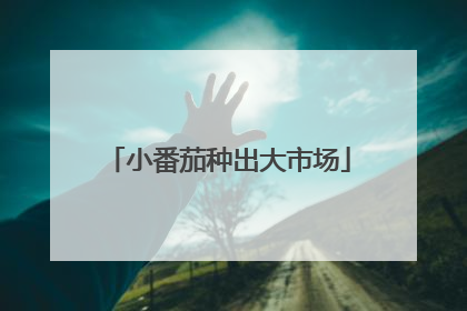 小番茄种出大市场