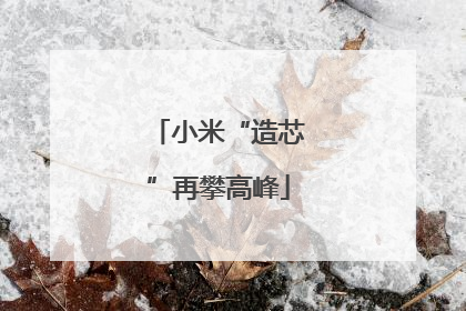 小米“造芯”再攀高峰